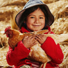 Donate a Chicken from Good Day People.